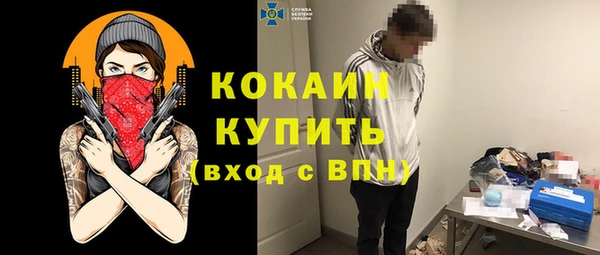 гашик Няндома