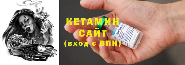 гашик Няндома
