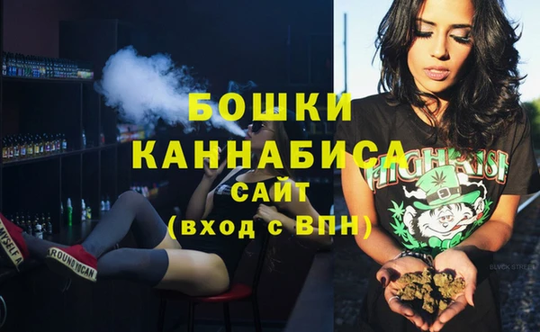 гашик Няндома