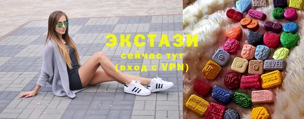 гашик Няндома