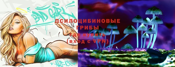 гашик Няндома