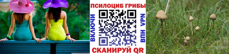 Псилоцибиновые грибы MAGIC MUSHROOMS  МЕГА как войти  Амурск 