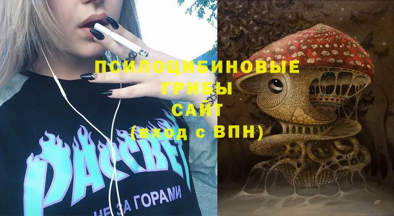 Галлюциногенные грибы Psilocybine cubensis  Амурск 