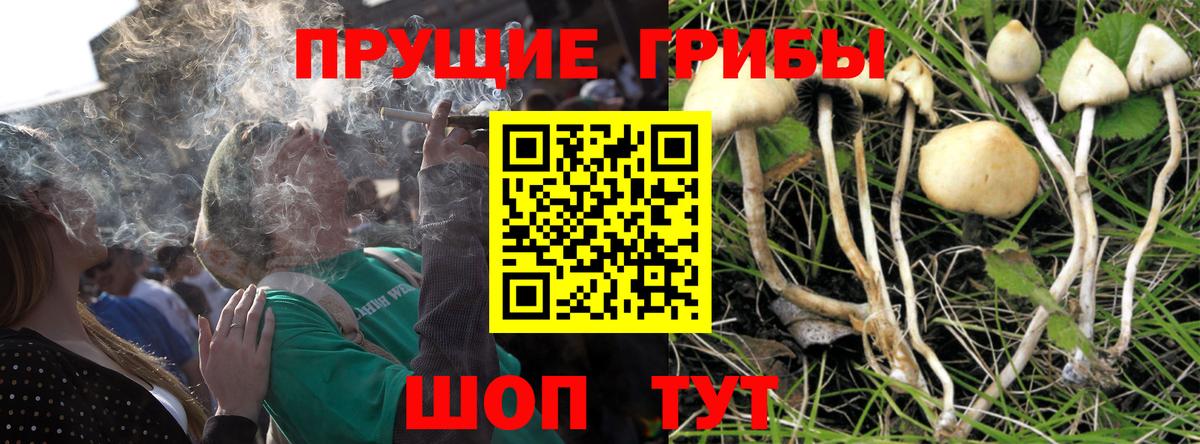 Псилоцибиновые грибы Magic Shrooms Амурск